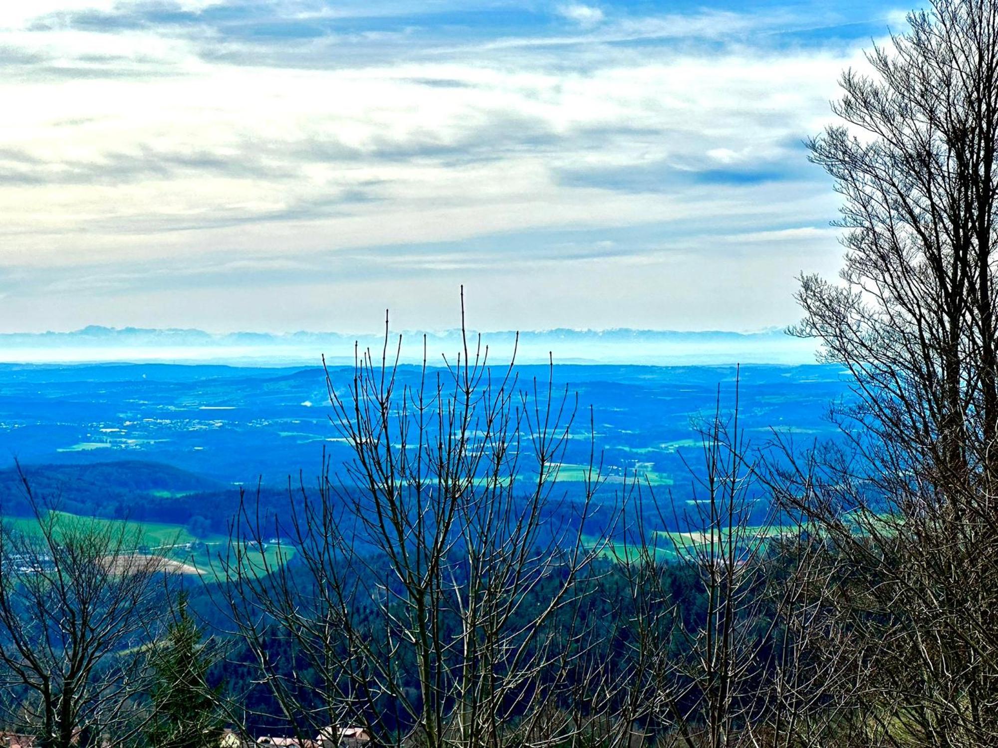 Gemuetliches Alpenblick Berg-Bungalow + Grosser Garten + Netflix! Schöfweg Екстериор снимка