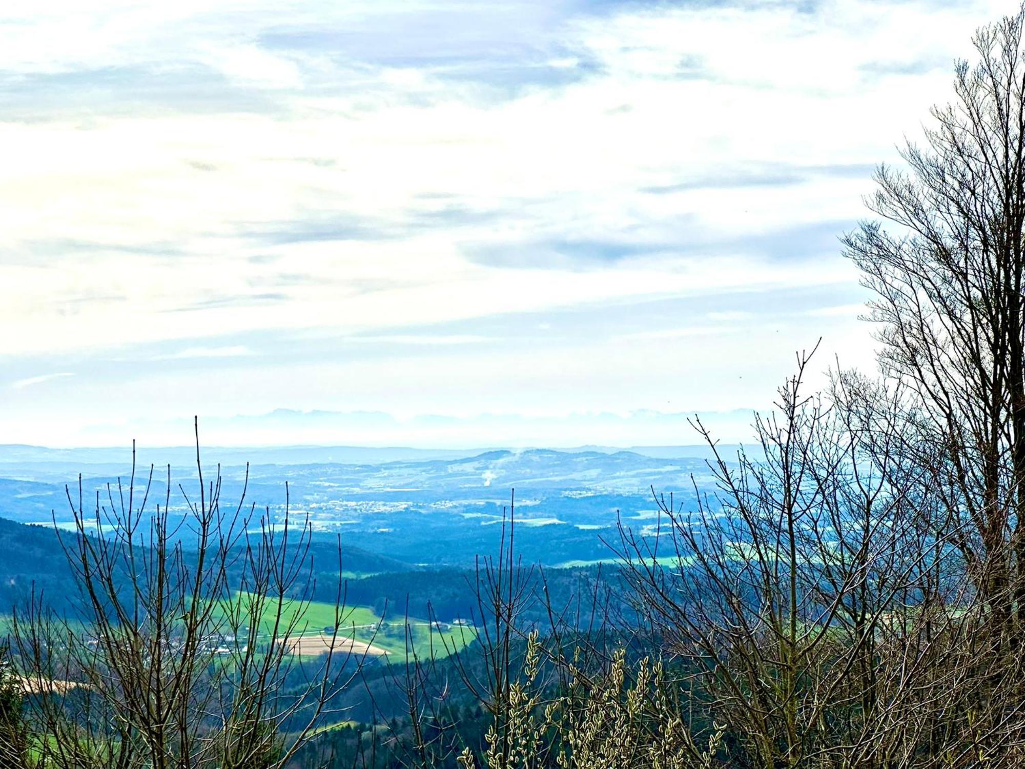 Gemuetliches Alpenblick Berg-Bungalow + Grosser Garten + Netflix! Schöfweg Екстериор снимка